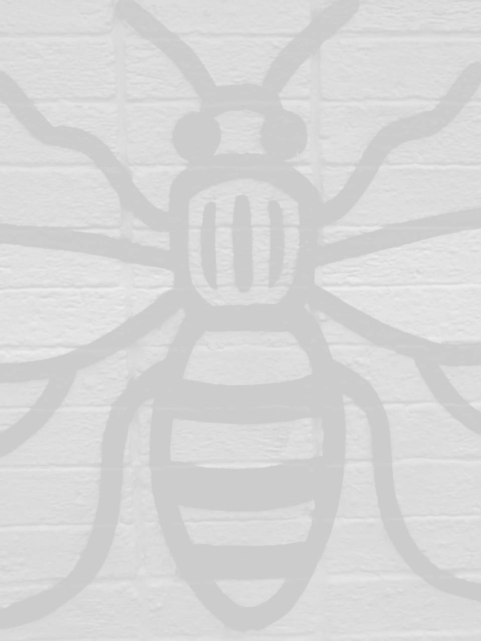 seo company in manchester image of manchester bee
